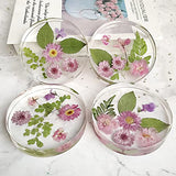 RESINWORLD 6-Cavity Deep Round Coaster Molds, 4 Inches Coaster Silicone Molds for Epoxy Resin, Coaster Resin Molds for Flower Bouquet Preservation ResinWorld