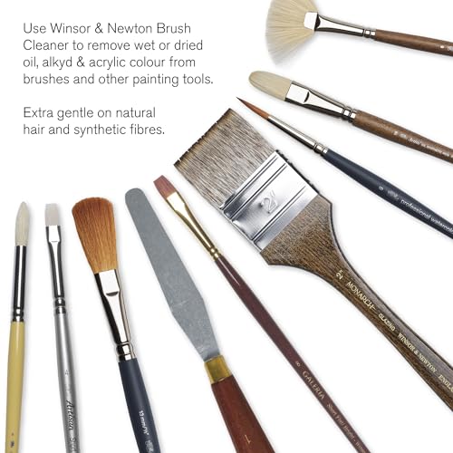 Winsor & Newton Cotman Water Colour Brushes 3/8 in. one Stroke Flat 666