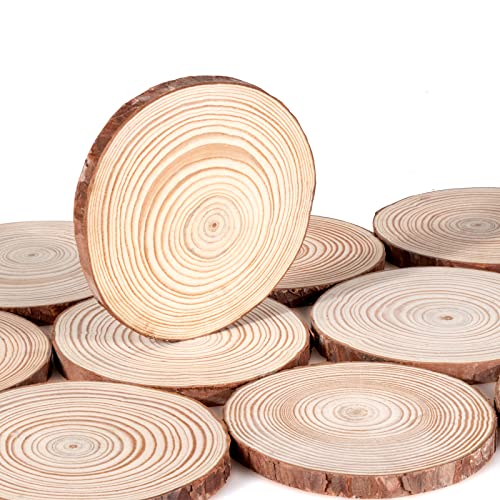 Lemonfilter Natural Wood Slices 12 Pcs 5.1-5.5 Inches Craft Wood Kit Wooden Circles Unfinished Log Wooden Rounds for Arts Crafts Wedding Christmas Lemonfilter