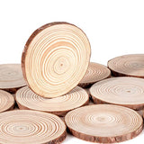Lemonfilter Natural Wood Slices 12 Pcs 5.1-5.5 Inches Craft Wood Kit Wooden Circles Unfinished Log Wooden Rounds for Arts Crafts Wedding Christmas Lemonfilter