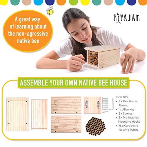 Rivajam Build a Bee House DIY Woodworking Project | Solitary Mason Bee House Nesting Box Wood Building Kit & Tools | Garden Arts & Crafts Activities Rivajam