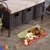 YAKOLECI Latch Hook Kits, DIY Rug Making Kits with Printed Pattern Canvas, Instrution, Yarns and Latch Hook, Easy to Start for Beginners, DIY Home YAKOLECI