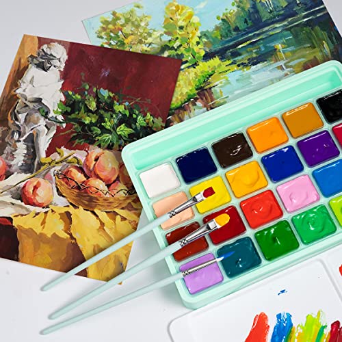 HIMI Gouache Paint Set, 24 Colors Guasha Paint for Canvas Watercolor Paper with 3 Brushes & Palette,30ml Jelly Cup Design, Non Toxic, Perfect for - WoodArtSupply