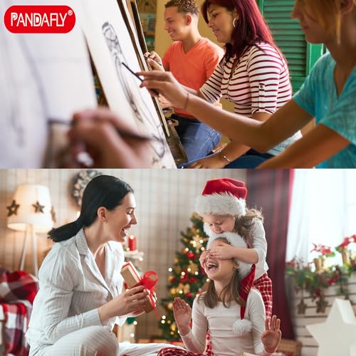 PANDAFLY Willow Charcoal Sticks, Soft, Black Artist Vine Charcoal for Artists, Beginners, Students, Great for Sketching, Drawing, Shading and Fine PANDAFLY