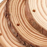 JOIKIT 50PCS 3.5-4 Inches Natural Wood Slices Bulk, 2/5" Thick Unfinished Natural Wood Circles with Pre-drilled Hole and Bark for Craft Arts, JOIKIT