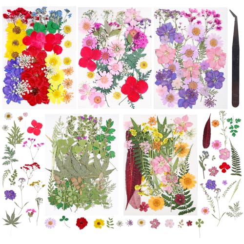 180Pcs Dried Pressed Flowers Resin Mold Real Pressed Flowers Natural Dry Leaves Bulk Mixed Colorful Daisy Herbs Kit with Tweezers for Scrapbooking - WoodArtSupply