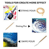 Nicpro 14 Colors 8.45oz Acrylic Pour Paint Supplies Kit, Large Volume Premixed High Flow Painting Bulk Set with Canvas, Wood Natural Slices, Pouring Nicpro
