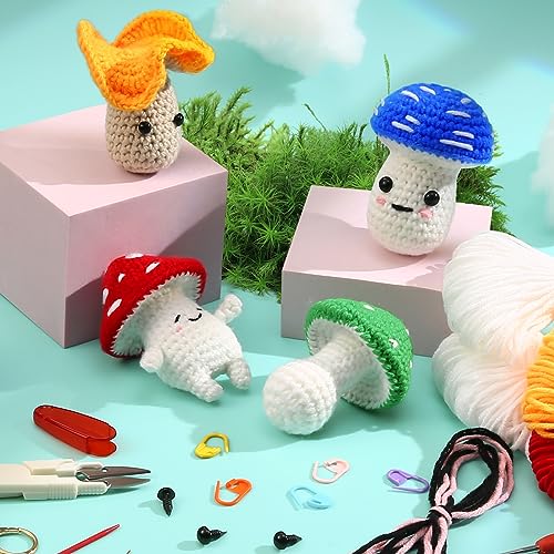 Crochet Kit for Beginners Adults, Crochet Starter Kit for