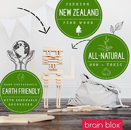 Brain Blox Natural Wooden Blocks for Kids Ages 4-8 - Montessori Blocks for Hands-on Learning - STEM and Architecture for Kids (300 Building Blocks) - WoodArtSupply