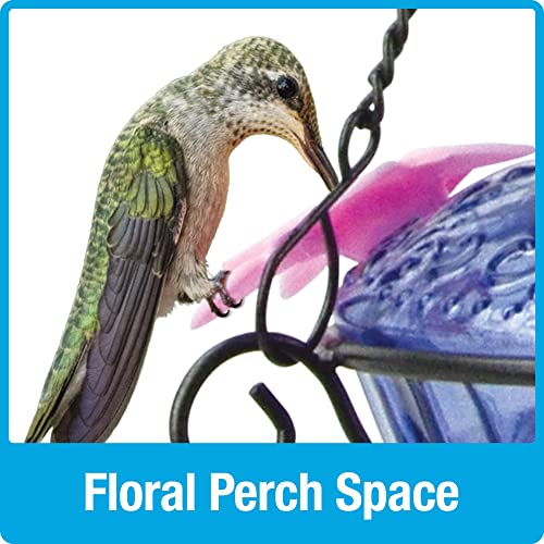 Nature's Way Bird Products ANTHF2-I Illuminated Antique Top-Fill Hummingbird Feeder, Light Blue/Pink Nature's Way