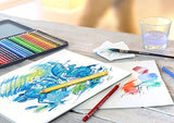 FABER-CASTELL FC117524 Albrecht Durer Artist Watercolor Pencils in A Tin (24 Pack), Assorted Faber-Castell