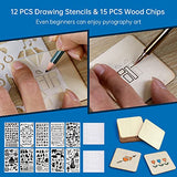 Goodcrafter Pyrography Pen Wood Burning Kit Station 200~480°C (with Temp Display)/Wire-Nib 250~750°C Temperature Adjustable with 20 Nibs, 53 Solid Goodcrafter
