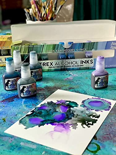 T-Rex Inks Premium Alcohol Inks Cool Earth Set- 12 Cool Tone Colors - Alcohol Ink for Epoxy Resin Dye, Painting, Tumbler Making & More - Includes - WoodArtSupply