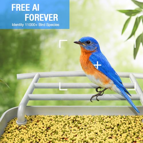 isYoung Smart Bird Feeder with Camera, Free AI Forever, Identify Bird Species, Wireless Connection Bird Camera with Solar Panel, Auto Capture & - WoodArtSupply