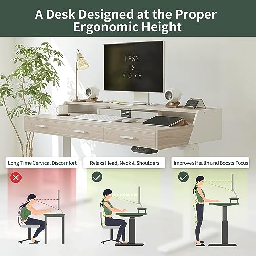 FEZIBO Electric Standing Desk with Drawers, 48x24 Inch Standing Desk Adjustable Height, Stand Up Desk with Monitor Shelf, Sit Stand Home Office Desk, FEZIBO
