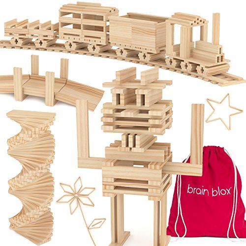 Brain Blox Natural Wooden Blocks for Kids Ages 4-8 - Montessori Blocks for Hands-on Learning - STEM and Architecture for Kids (300 Building Blocks) Brain Blox