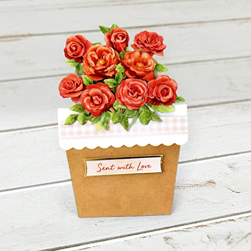 Katy Sue Flower Patch Pots Card Making Kit - Contains 8 Cards, 8 Envelopes, 3 Sheets of Floral Die Cut Decoupage & 2 Sheets of Foiled & Die Cut Katy Sue