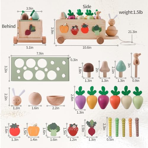 OESSUF Montessori Toys Toddlers Wooden Educational Toys for Baby Boys Girls, Shape Sorting & Matching Fine Motor Skills Toys, Birthday Gifts for Kids OESSUF