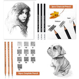 YunQiDeer Drawing Pencils, Art Supplies Sketch Pencils Kit for Kids Adults, Professional Charcoal Sketching Graphite Art Pencils Set YunQiDeer