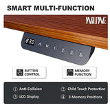 Win Up Time Standing Desk Adjustable Height- 48 x 24 Inches Whole Piece Desktop Stand Up Desk, Electric Standing Desk, Sit to Stand Desk for Home Win Up Time