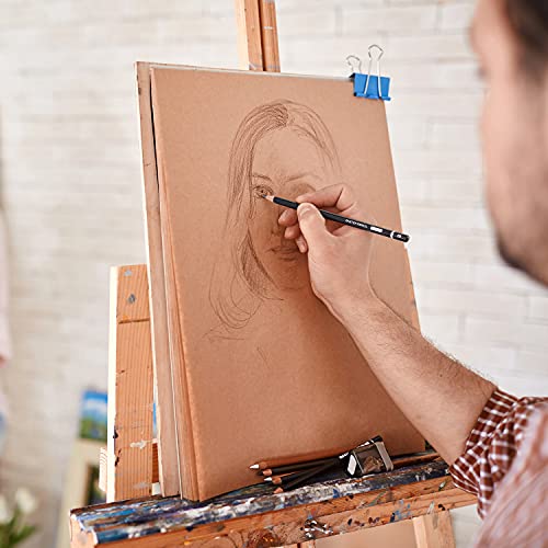 PANDAFLY Professional Drawing Sketching Pencil Set - 12 Pieces Graphite Pencils(14B - 2H), Ideal for Drawing Art, Sketching, Shading, Artist Pencils PANDAFLY