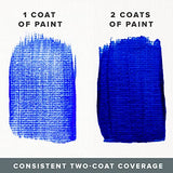 DecoArt Acrylic 2 oz 12 Count Brights Craft Paint Value Pack, 2 Fl Oz (Pack of 12), 24 Oz DecoArt