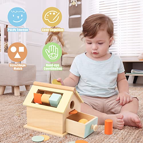 Montessori Toys for Babies 6 12 Months Wooden Baby Toys 5 in 1 Wooden Toys for Babies with Object Permanence Box Ball Coin Drop Toy House Rainbow WoodArtSupply