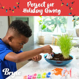 Bryte Dinosaur Light Up Terrarium Kit for Kids | Create a Dino Habitat with Real Plants, Figurines, Volcano & LED Lights | DIY Science Kit, STEM BRYTE