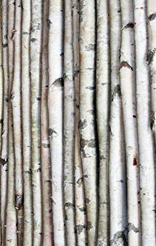 Wilson White Birch Decorative Poles - Natural Wood Bark Kiln Dried Home Décor, 7' L x 1.5-2.5" D (3 Poles) Wilson