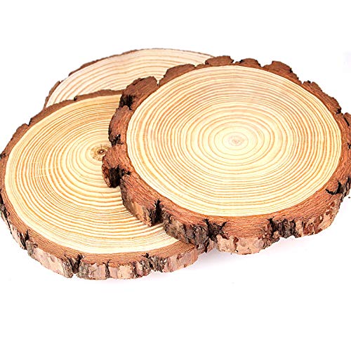 KEILEOHO 6 PCS 7.1-7.8 Inches Natural Wood Slices, Large Smooth Wood Slices for Crafts, Unfinished Wood Slices for Arts and Crafts Christmas