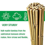 Mininfa Natural Bamboo Stakes 4 Feet, Eco-Friendly Garden Stakes, Plant Stakes Supports Climbing for Tomatoes, Trees, Beans, 25 Pack Mininfa