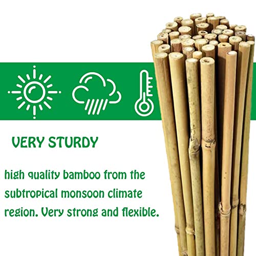 Mininfa Natural Bamboo Stakes 3 Feet, Eco-Friendly Garden Stakes, Plant Stakes Supports Climbing for Tomatoes, Trees, Beans, 25 Pack Mininfa