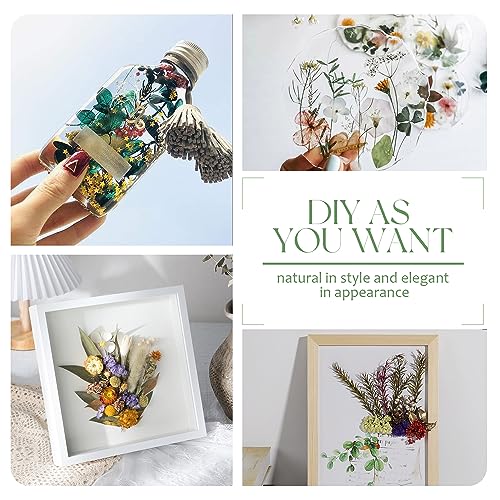 Dried Flower Natural Dried Floral Plant Mini Bouquet Photography Props Dry Flower Flower Bundle Plant Stem Bunch for DIY Craft 6 PCS - WoodArtSupply