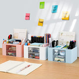 LETURE Desk Organizer with 2 Drawer, Plastic Desktop Pen Pencil Card Holder Storage Box for Desk, Office Supplies, Vanity Table Office School Home LETURE