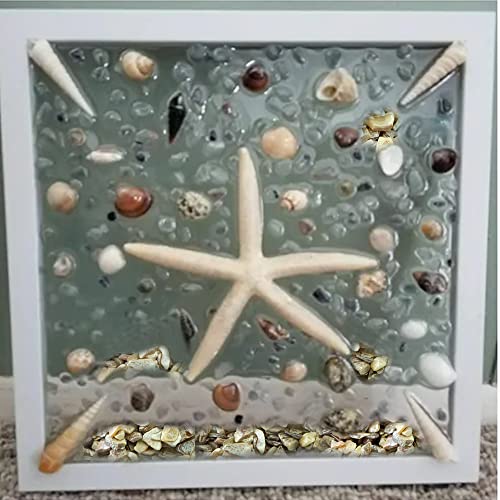 HappyFiller 1.4 Pound Broken Pieces Crushed Shells Chips Vase Filler Resin Arts,Succulents,Plants Top Dressing Soil Cover,Hotricultural Pebbles Grow HappyFiller