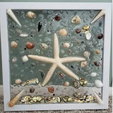 HappyFiller 1.4 Pound Broken Pieces Crushed Shells Chips Vase Filler Resin Arts,Succulents,Plants Top Dressing Soil Cover,Hotricultural Pebbles Grow HappyFiller