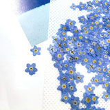 20Pcs White Forget Me Not Flowers Myosostis Sylvatica Dried Pressed Flowers for Resin,Candle,Epoxy Resin,Soap Making,Scrapbooking,DIY Art Juroicessry