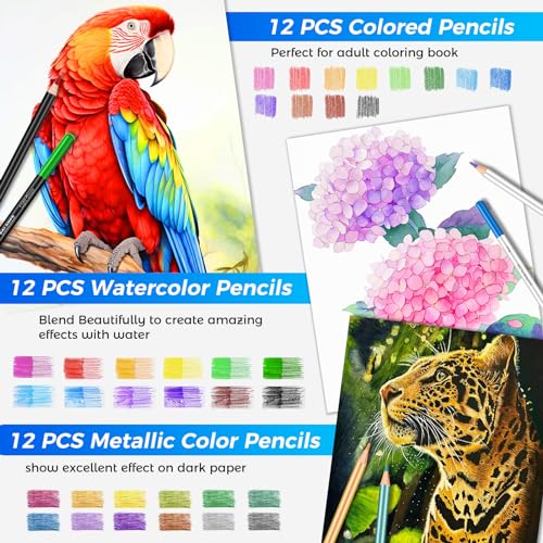 82 PCS Drawing Set Sketching Kit, Pro Art Supplies with 5 Blinder Clips, 3-Color Sketch Pad, Coloring Book, Colored, Graphite, Charcoal, Watercolor,