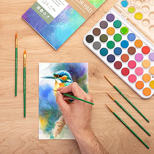 Norberg & Linden Watercolor Paint Set - 36 Premium Paints - 12 Page Pad - 6 Brushes - Painting Supplies with Palette, Watercolors, Art Pad Paper and Norberg & Linden