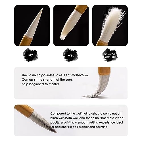 SEAMEW 10-Piece Chinese Calligraphy Brush Set - Premium Watercolor Brushes for Kanji, Japanese Sumi, Painting, Drawing, Art Supplies with Roll-up SEAMEW