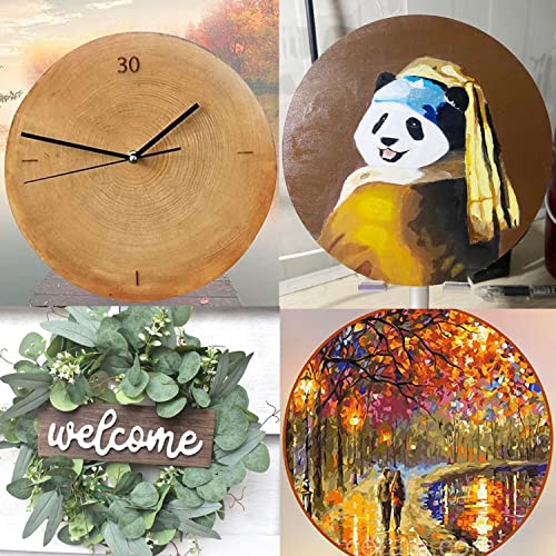 10Pcs 10Inch Cutouts Blank Round Wood Slice Wood Circles for Crafts, Unfinished Wooden Slices Blank Round Wooden Circles, Wood Circles for Painting,