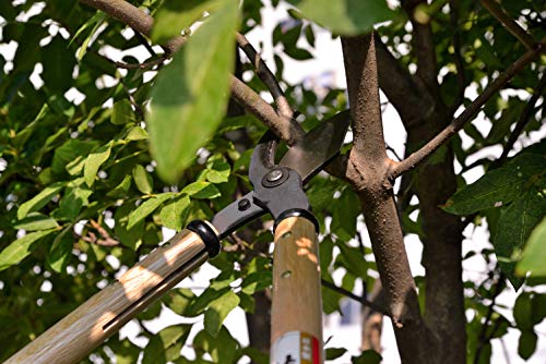 KAKURI Japanese Bypass Loppers Heavy Duty Large Limb and Branch Cutting Shears Long Handle, 3.9 Inch Pruning Blade, Made in JAPAN KAKURI