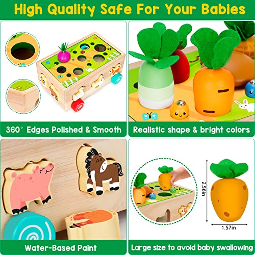 Toddlers Montessori Toys for 2,3,4 Year Old Baby Boys and Girls, Educational Wooden Shape Sorting Toys with Vegetables & Farm Animals Blocks, Fine