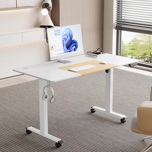 MOUNTUP 55x28 Inches Electric Height Adjustable Standing Desk, Sit Stand Desk with Memory Controller, Ergonomic Stand Up Desk for Home Office MOUNTUP