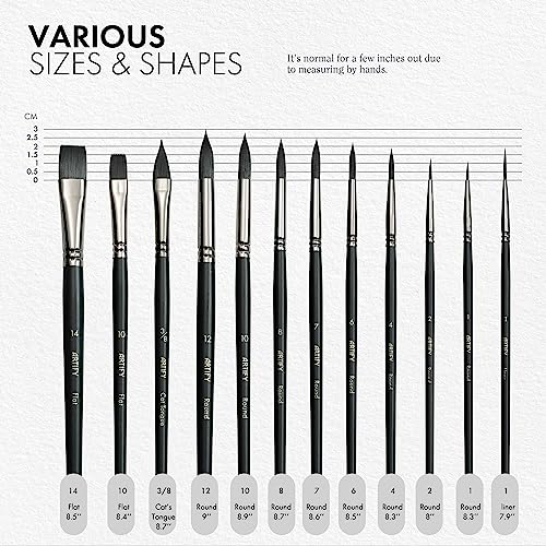 ARTIFY 12 PCS Watercolor Brushes, Synthetic Nylon Paint Brushes for Watercolor, Acrylic, Gouache & Oil Painting, Includes Detail Paint Brushes, ARTIFY art supplies