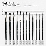 ARTIFY 12 PCS Watercolor Brushes, Synthetic Nylon Paint Brushes for Watercolor, Acrylic, Gouache & Oil Painting, Includes Detail Paint Brushes, ARTIFY art supplies