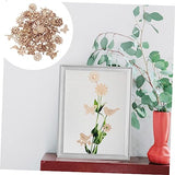 COHEALI 100pcs Pieces Wooden Slices for Centerpieces Crafts Small Flowers for Crafts Christmas Cutouts Craft Wood Slices Wooden Flowers for Crafts COHEALI
