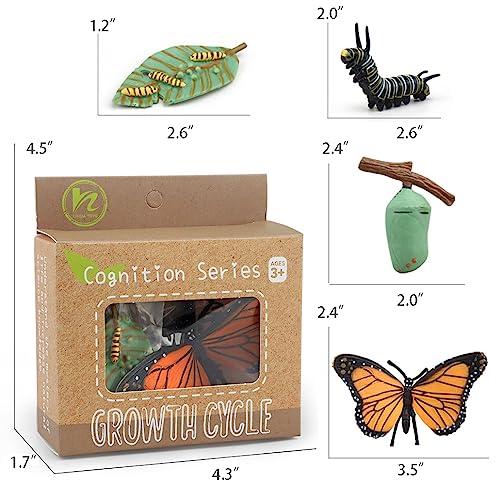 Montessori Life Cycle Learning & Education Toys - Plastic Insect Ladybug, Monarch Butterfly, and Tadpole-to-Frog Kit for Kids, Preschool Learning BOTICAKO