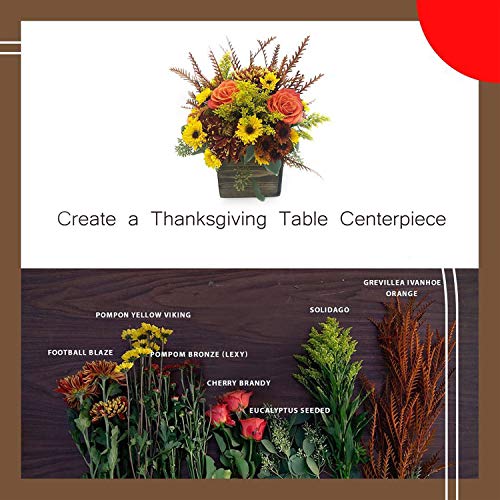 Wooden Planter Box, Rustic Barn Wood with Plastic Liner l Garden Decor l Restaurant and Wedding Decorations l Wedding Bouquets, Table Centerpiece Collection by Tiffany