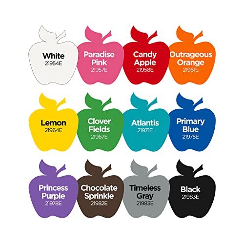 Apple Barrel Essentials Acrylic Paint Set, 12, 24 Fl Oz (Pack of 1) Apple Barrel